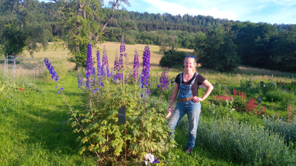Des fleurs bio, cultivées en Alsace