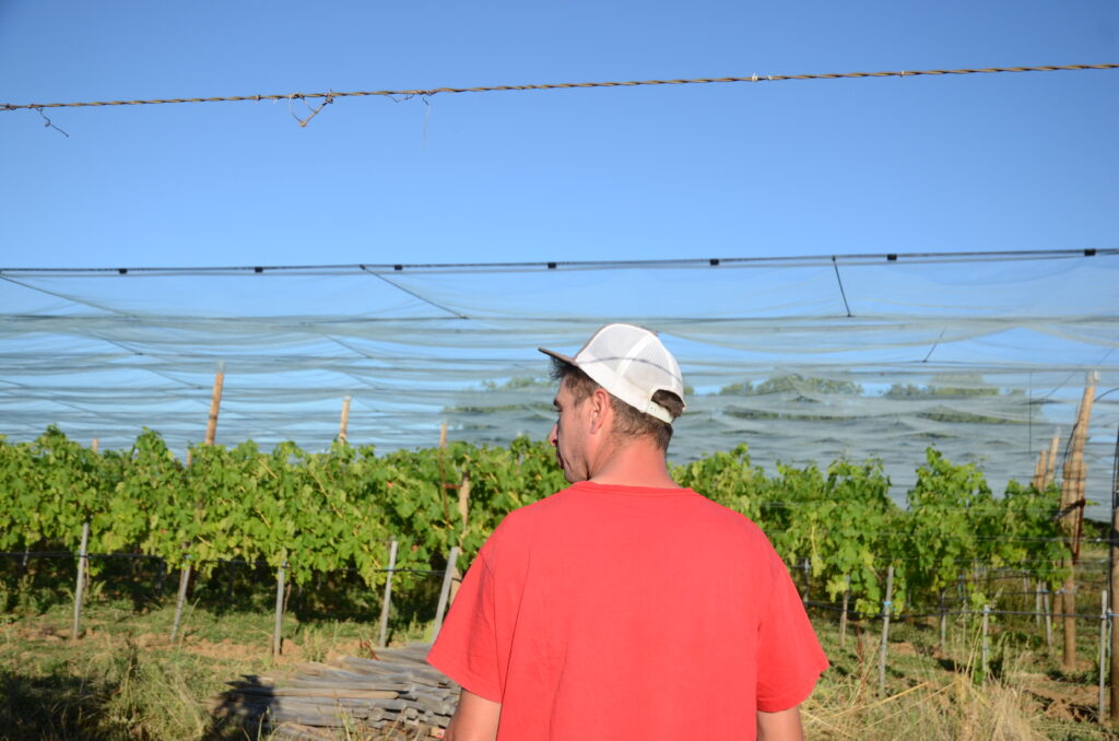 Conversion et spécialisation : des choix qui payent