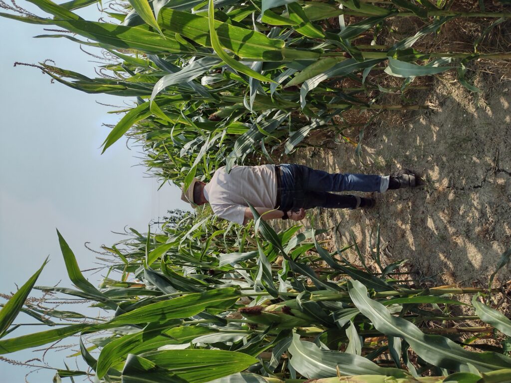 De la conservation des sols à la syntropie : un chemin de soin