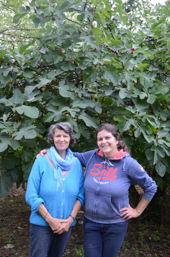 Une reprise familiale faite de diversités : dans les activités, au verger et au marché