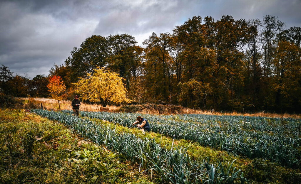 La ferme de Truttenhausen : un organisme vivant