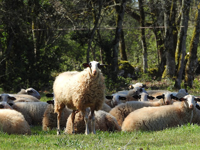 Structuration et diversification de la production pour une transmission familiale