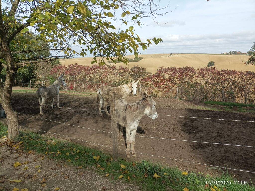 Créer et faire évoluer sa ferme