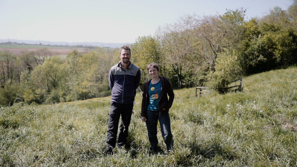 Des haies sur une ferme diversifiée