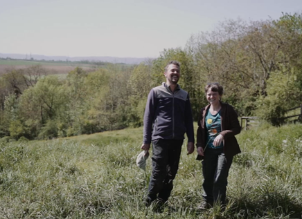 Des haies sur une ferme diversifiée